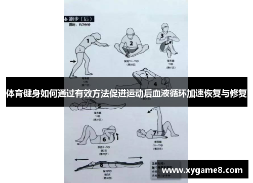 体育健身如何通过有效方法促进运动后血液循环加速恢复与修复