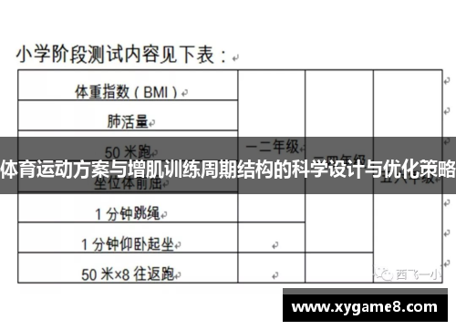 体育运动方案与增肌训练周期结构的科学设计与优化策略
